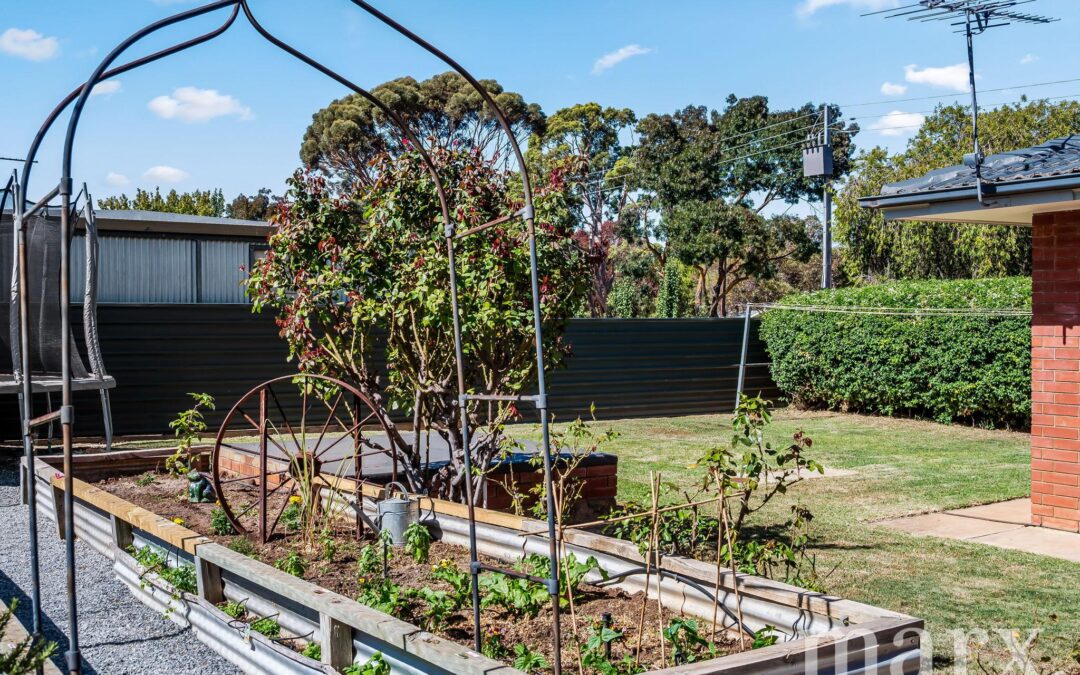 65 Angas Street, TANUNDA, SA 5352 AUS