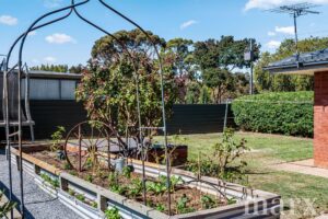 65 Angas Street, TANUNDA, SA 5352 AUS