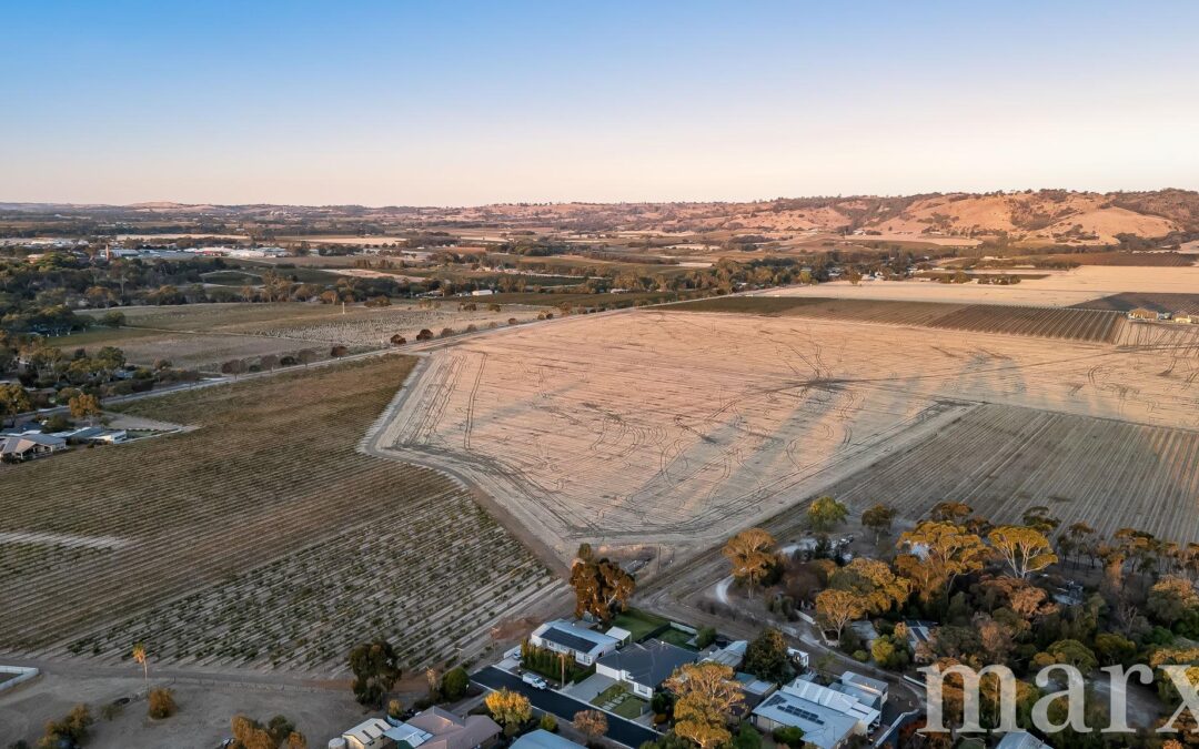 5 Beech Street, TANUNDA, SA 5352 AUS