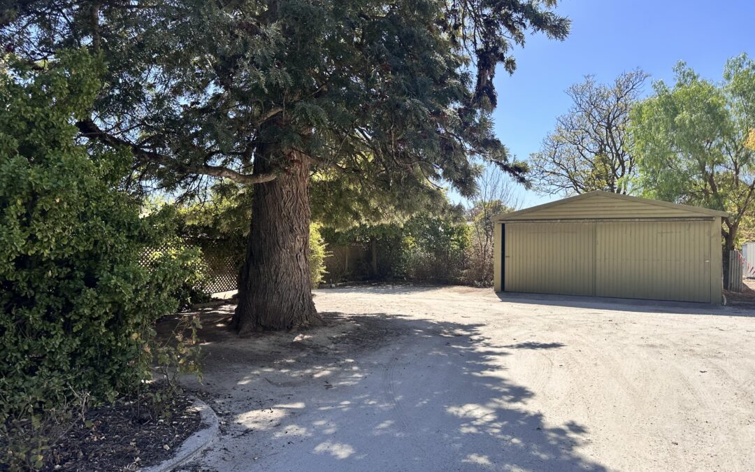 13 Jane Place, TANUNDA, SA 5352 AUS