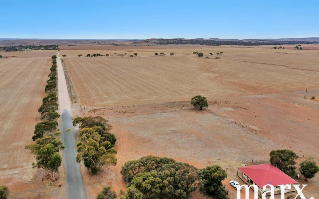 Lots 2 & 3 30 Rice Street, DUTTON, SA 5356 AUS