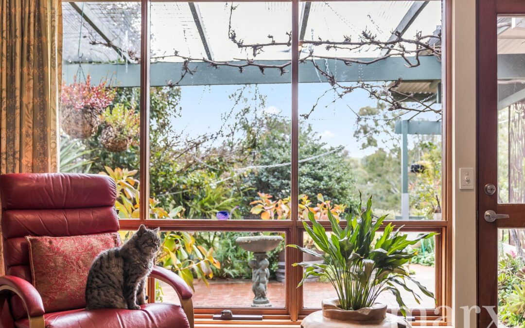 17 Hill Street West, ANGASTON, SA 5353 AUS
