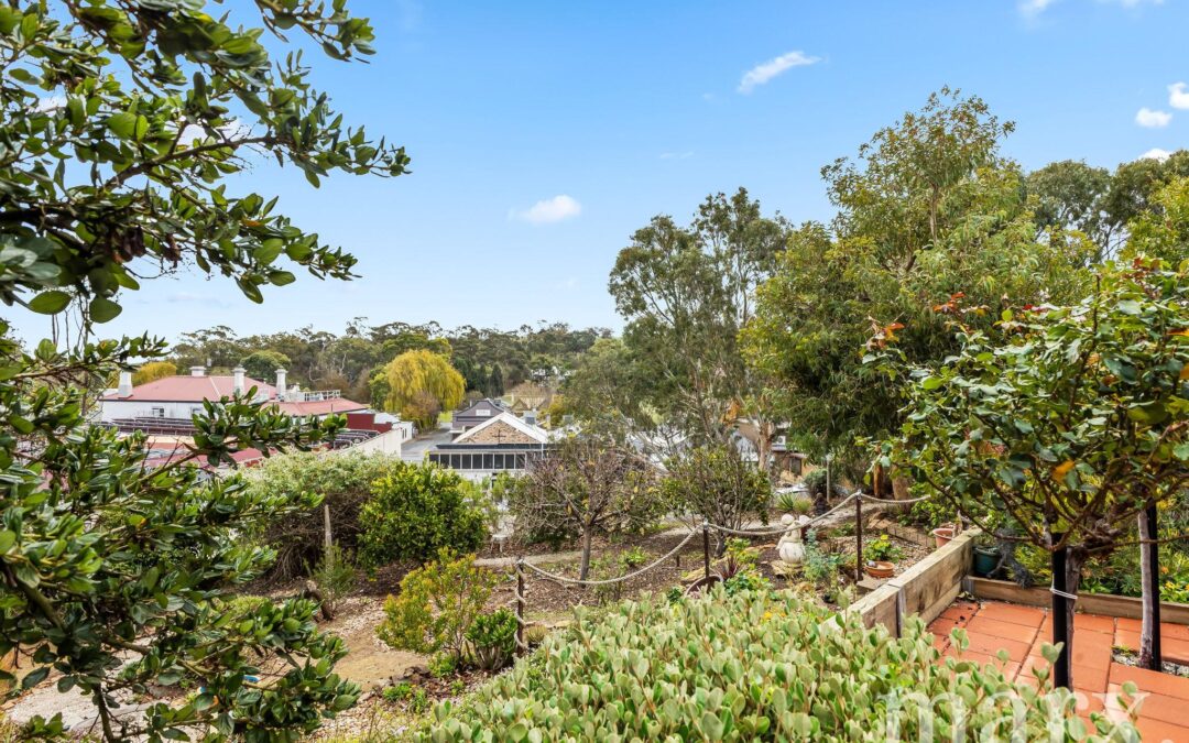17 Hill Street West, ANGASTON, SA 5353 AUS