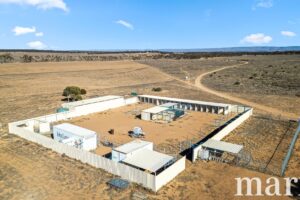 Lot 173 Halfway House Road, SEDAN, SA 5353 AUS