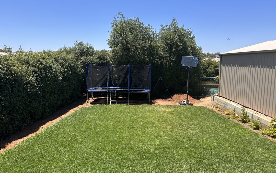 1 Neldner Avenue, ANGASTON, SA 5353 AUS