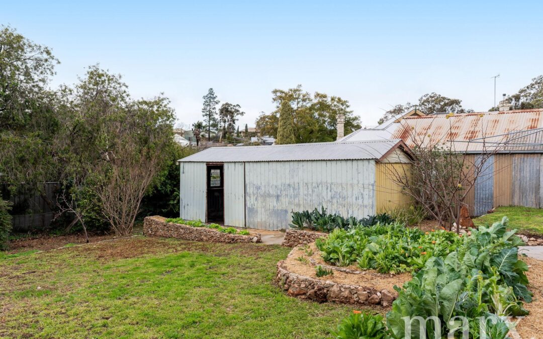 6 Evans Street, ANGASTON, SA 5353 AUS
