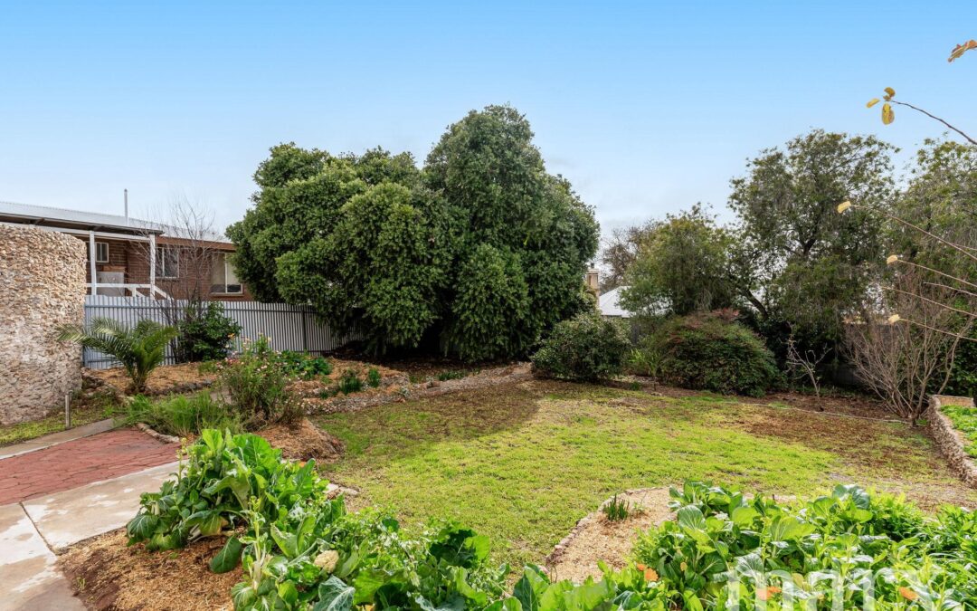 6 Evans Street, ANGASTON, SA 5353 AUS