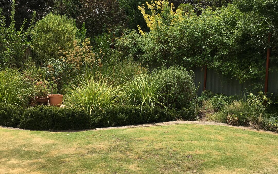 21a Julius Street, TANUNDA, SA 5352 AUS