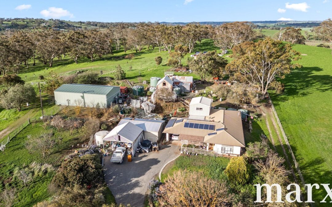 137 Radford Road, ANGASTON, SA 5353 AUS