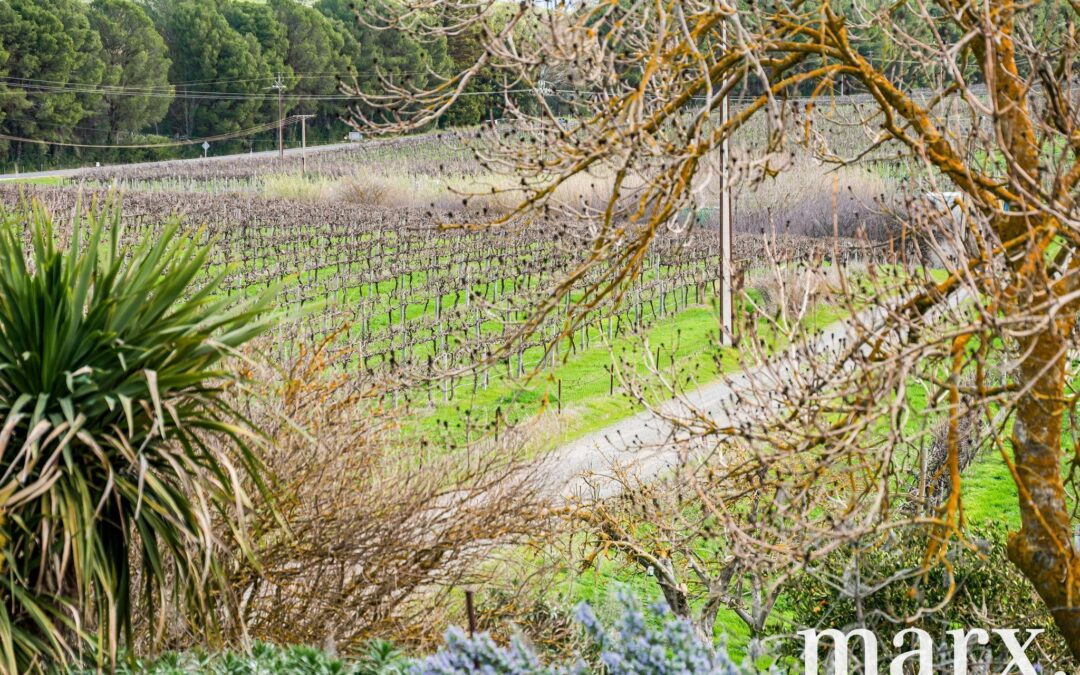 137 Radford Road, ANGASTON, SA 5353 AUS