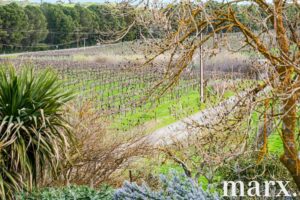 137 Radford Road, ANGASTON, SA 5353 AUS