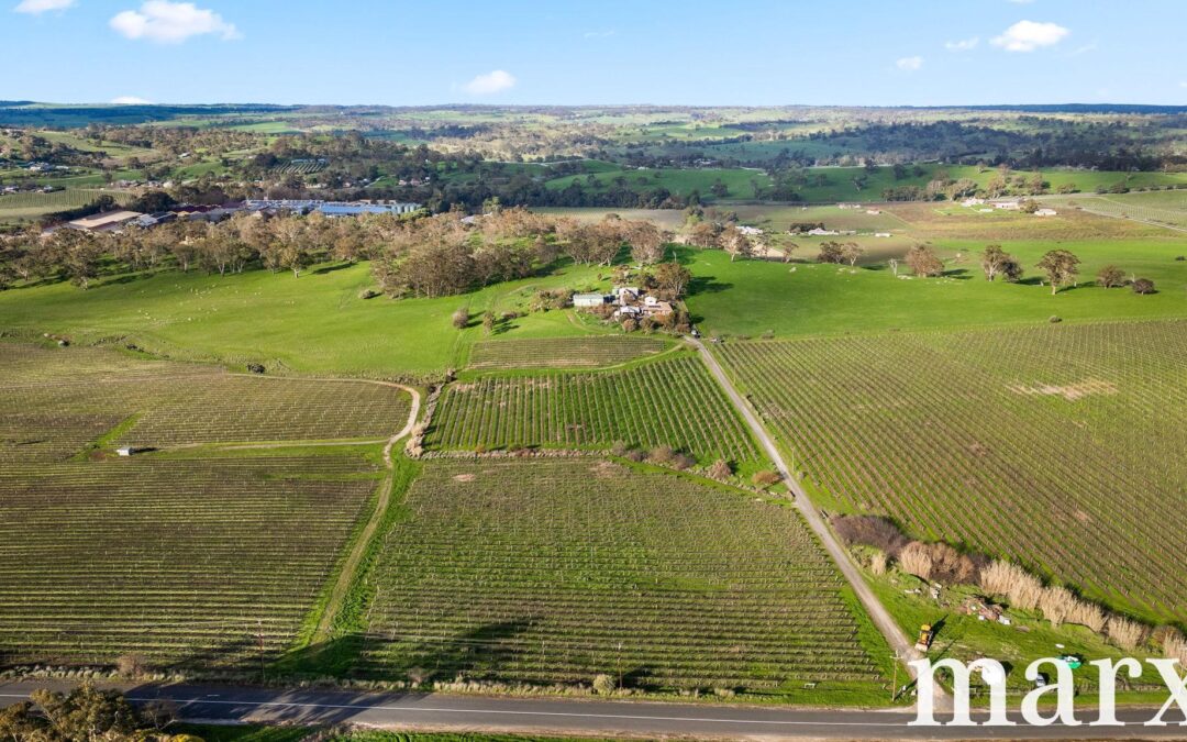 137 Radford Road, ANGASTON, SA 5353 AUS
