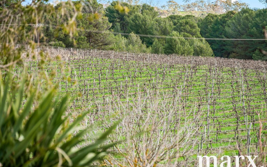 137 Radford Road, ANGASTON, SA 5353 AUS