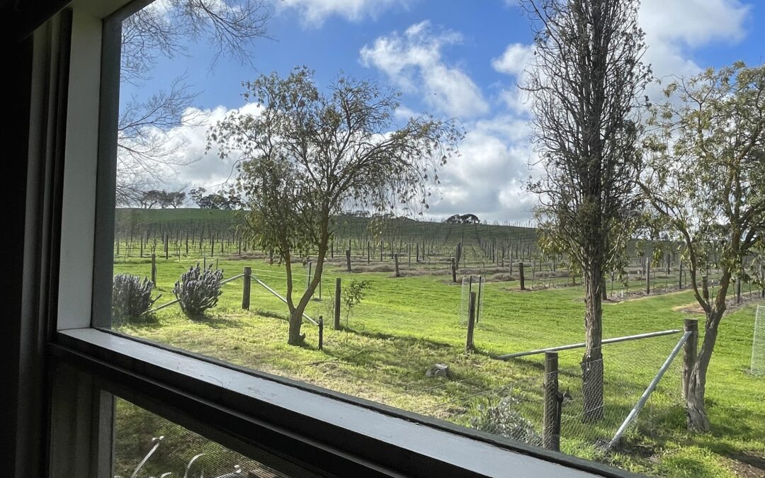 523 Hutton Vale Road, MOCULTA, SA 5353 AUS