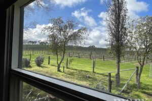 523 Hutton Vale Road, MOCULTA, SA 5353 AUS