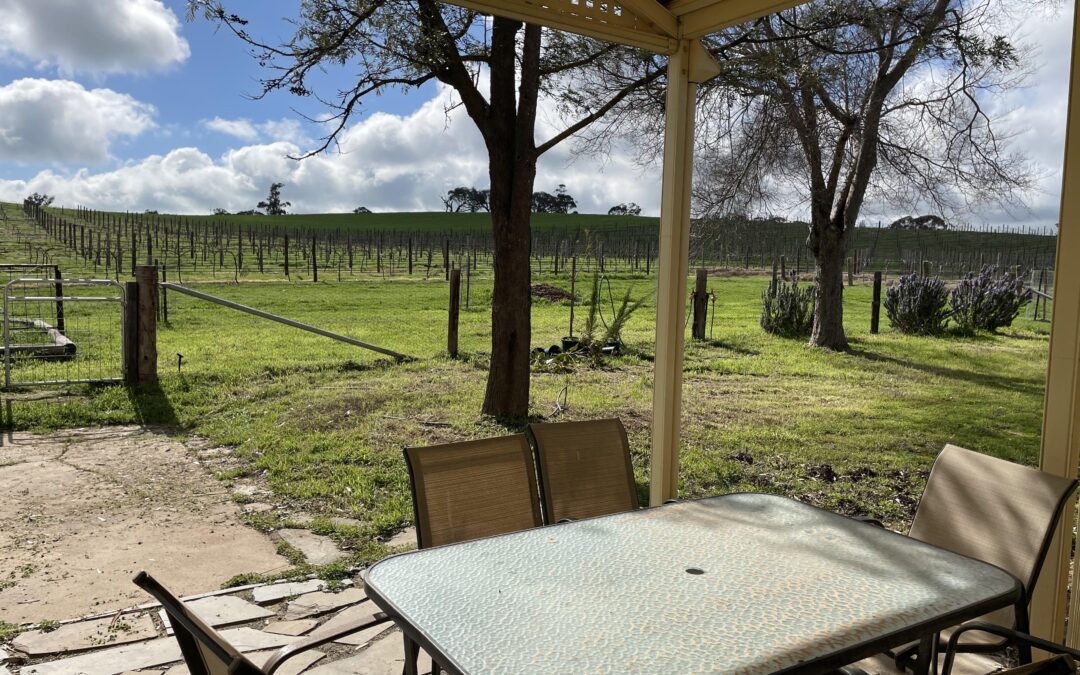 523 Hutton Vale Road, MOCULTA, SA 5353 AUS