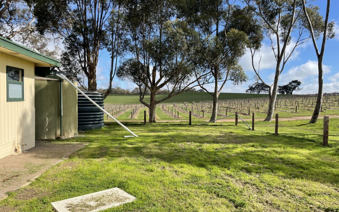 523 Hutton Vale Road, MOCULTA, SA 5353 AUS