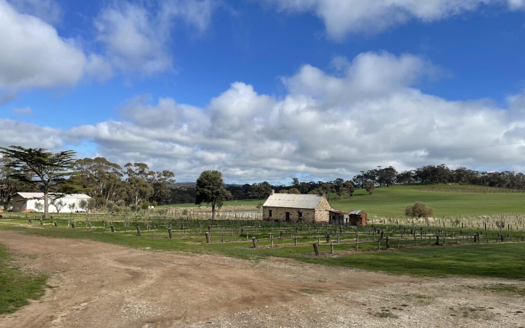 523 Hutton Vale Road, MOCULTA, SA 5353 AUS