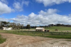 523 Hutton Vale Road, MOCULTA, SA 5353 AUS