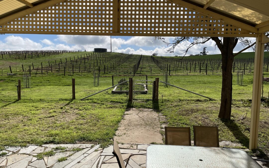 523 Hutton Vale Road, MOCULTA, SA 5353 AUS