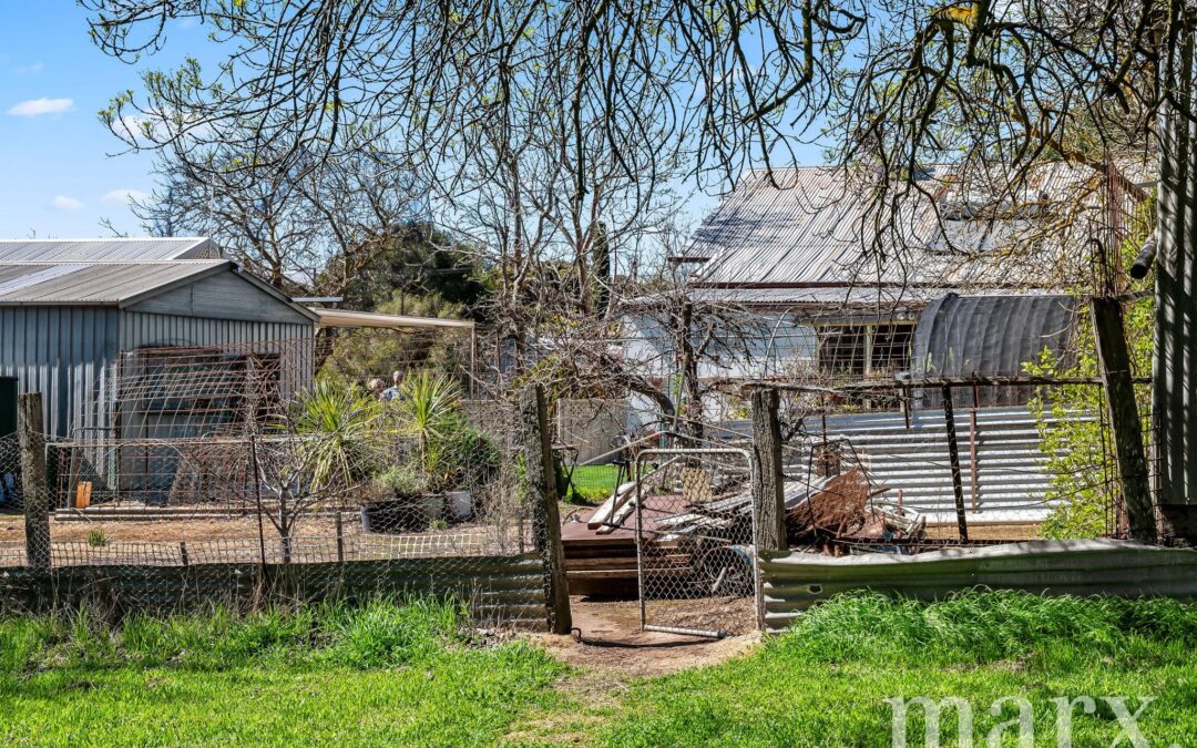 14 Park Road, ANGASTON, SA 5353 AUS
