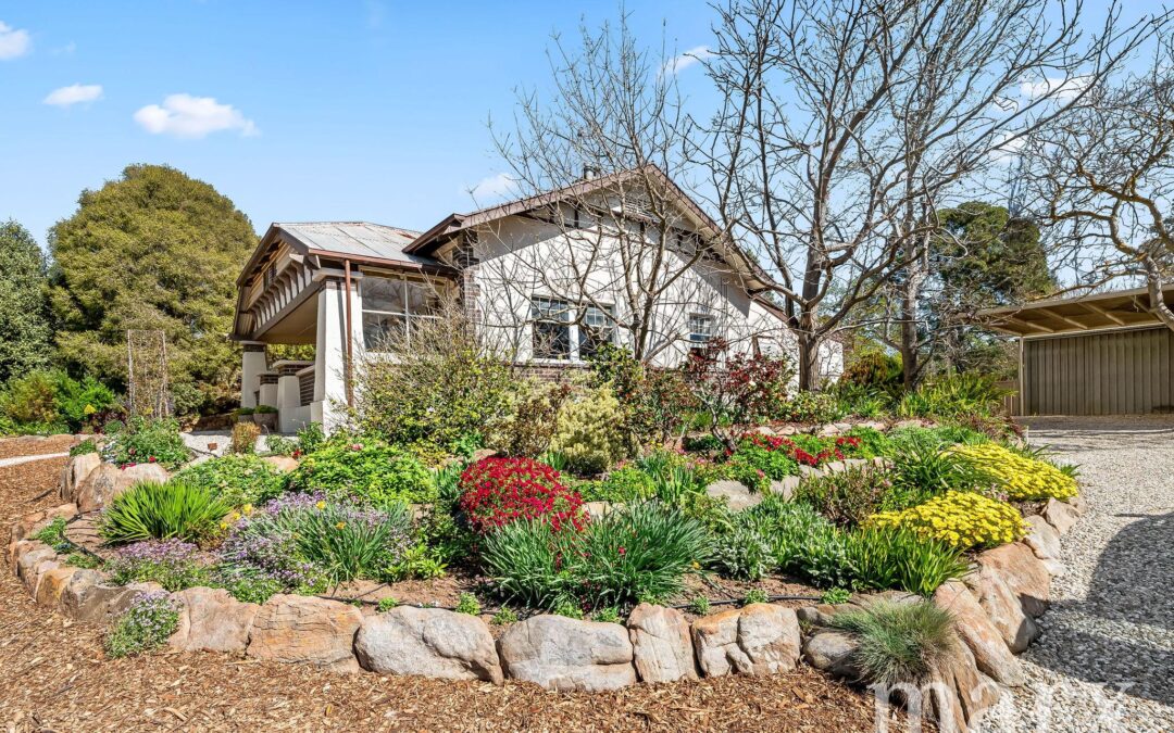 14 Park Road, ANGASTON, SA 5353 AUS