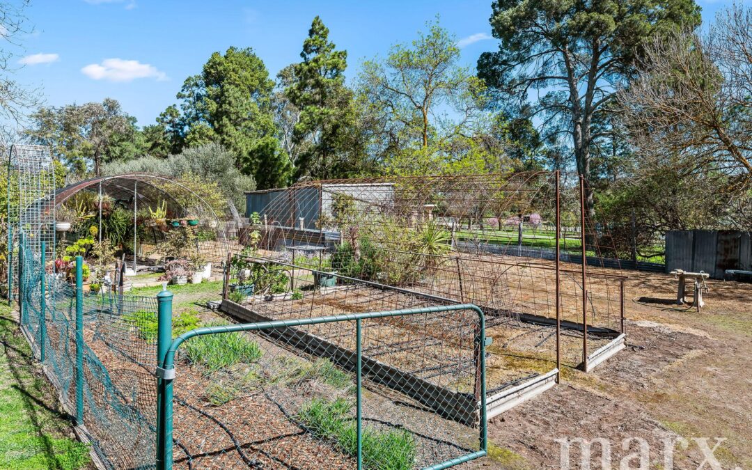14 Park Road, ANGASTON, SA 5353 AUS