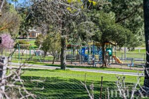 14 Park Road, ANGASTON, SA 5353 AUS
