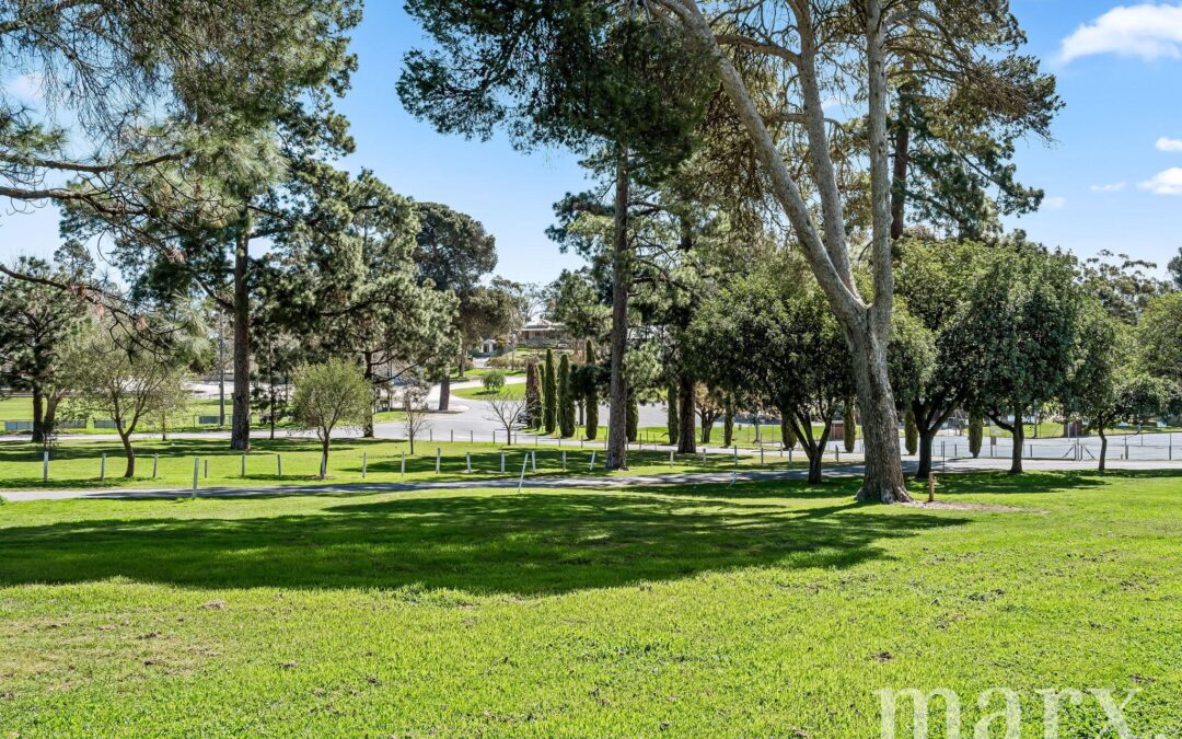 14 Park Road, ANGASTON, SA 5353 AUS