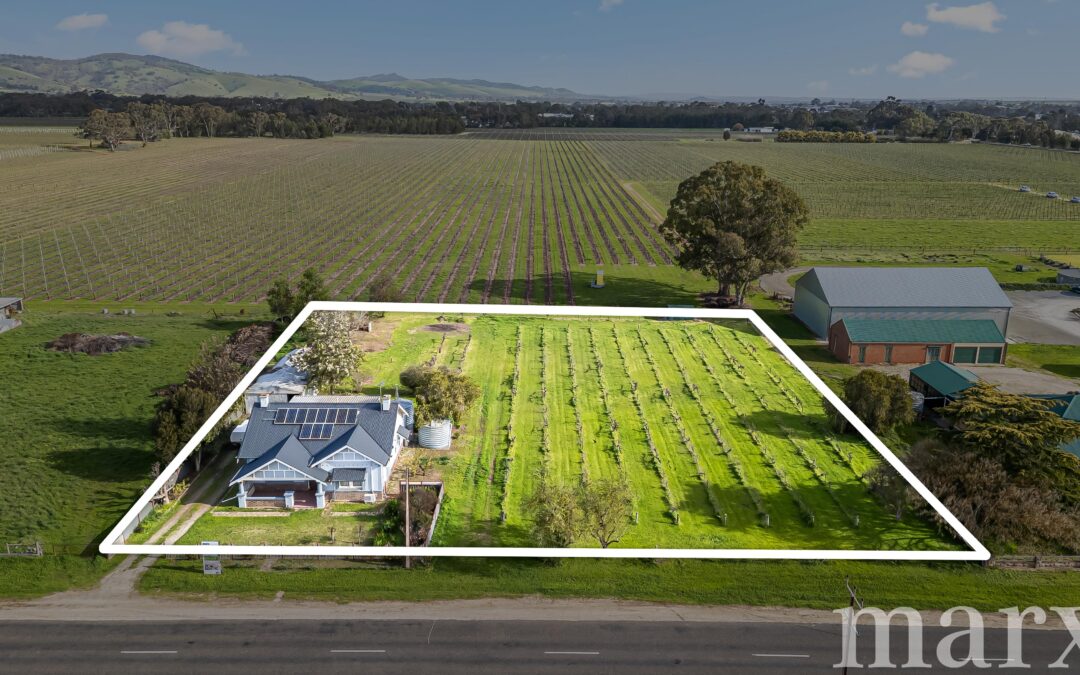36 Vine Vale Road, TANUNDA, SA 5352 AUS