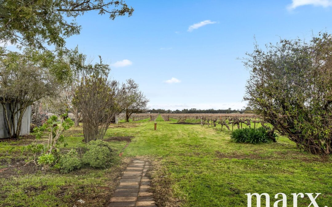 36 Vine Vale Road, TANUNDA, SA 5352 AUS