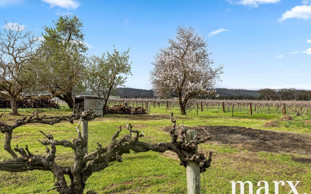 36 Vine Vale Road, TANUNDA, SA 5352 AUS