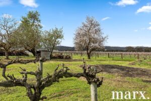 36 Vine Vale Road, TANUNDA, SA 5352 AUS