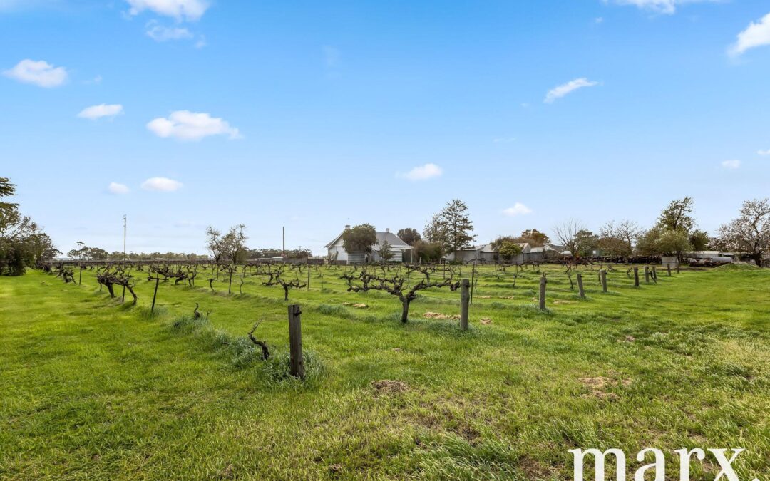 36 Vine Vale Road, TANUNDA, SA 5352 AUS