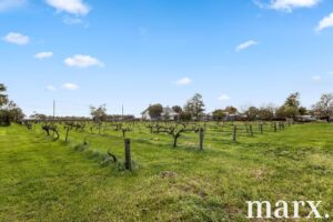36 Vine Vale Road, TANUNDA, SA 5352 AUS