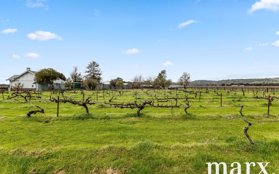 36 Vine Vale Road, TANUNDA, SA 5352 AUS