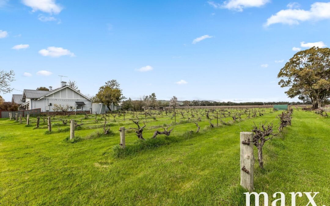 36 Vine Vale Road, TANUNDA, SA 5352 AUS