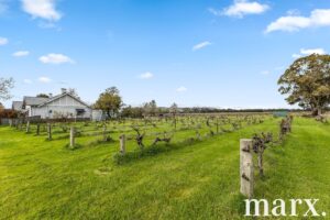 36 Vine Vale Road, TANUNDA, SA 5352 AUS
