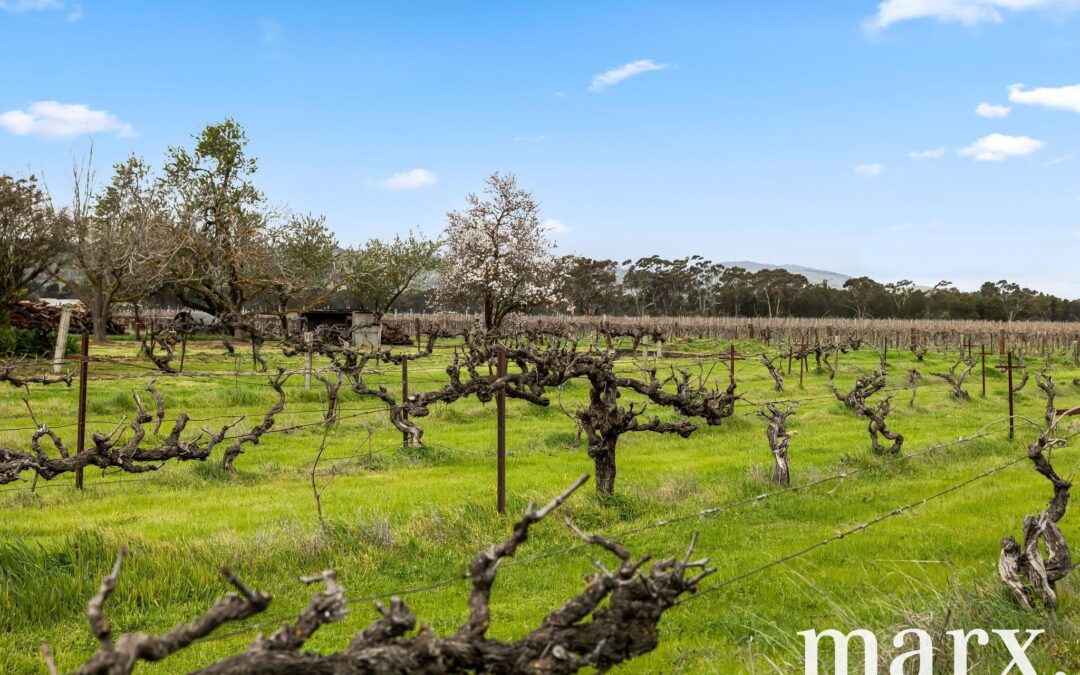 36 Vine Vale Road, TANUNDA, SA 5352 AUS
