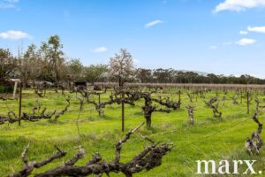 36 Vine Vale Road, TANUNDA, SA 5352 AUS