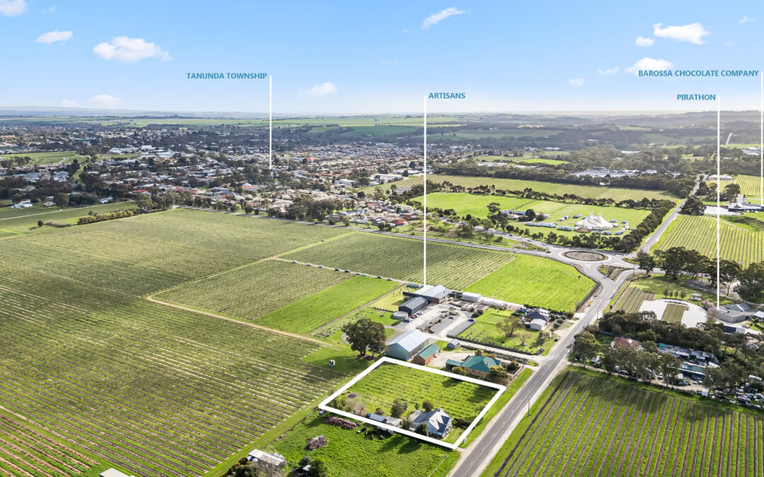 36 Vine Vale Road, TANUNDA, SA 5352 AUS