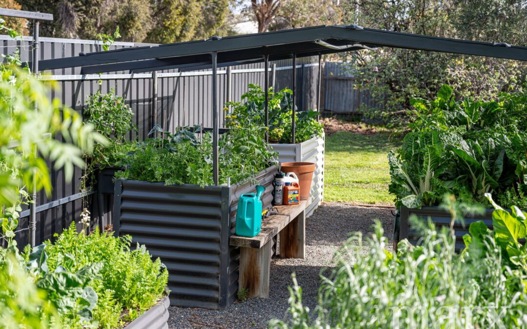 22 Barossa Valley Way, LYNDOCH, SA 5351 AUS
