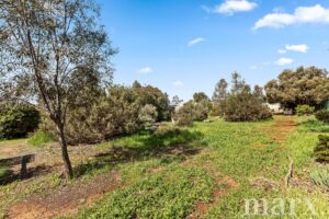 56 George Street, TRURO, SA 5356 AUS