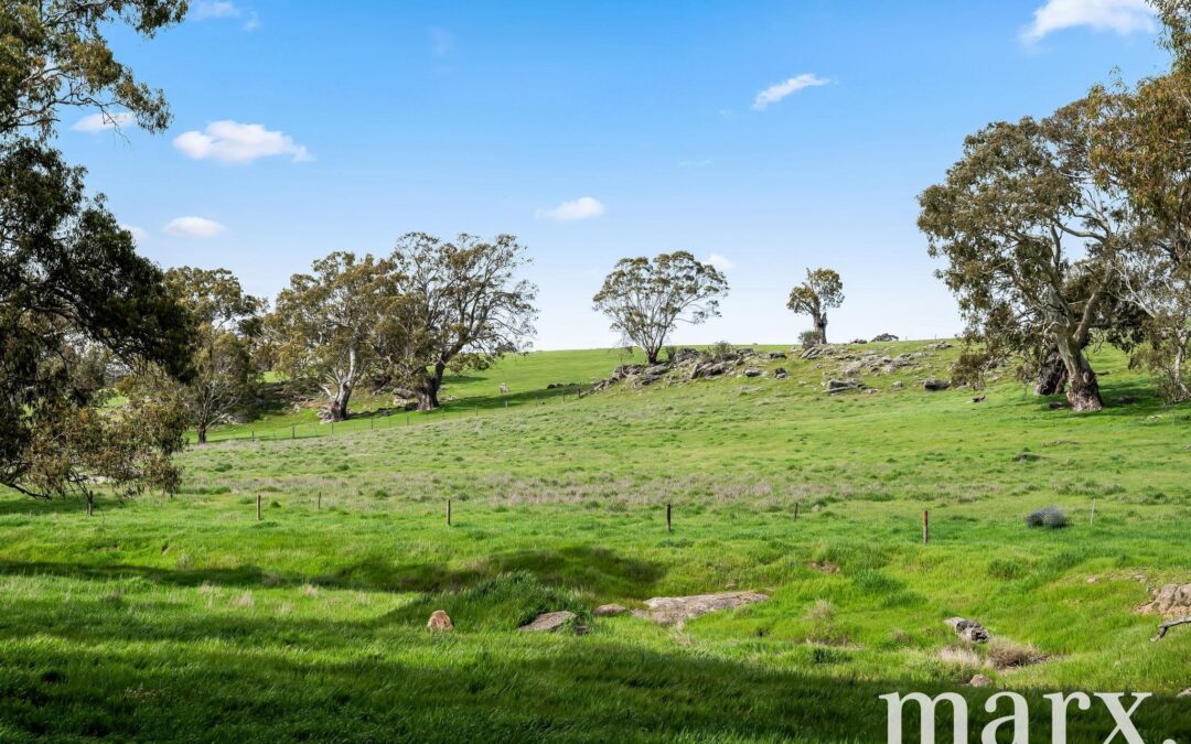 33 William Street, SPRINGTON, SA 5235 AUS