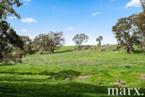 33 William Street, SPRINGTON, SA 5235 AUS