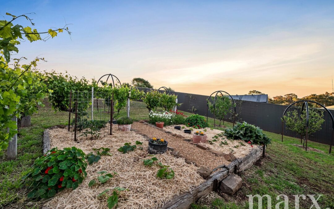 26 Sarah Street, PENRICE, SA 5353 AUS