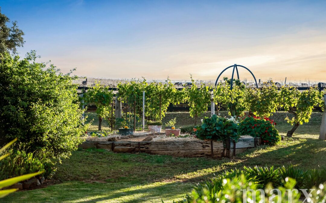 26 Sarah Street, PENRICE, SA 5353 AUS