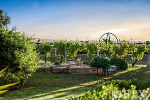 26 Sarah Street, PENRICE, SA 5353 AUS