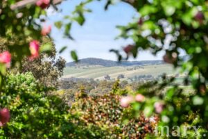 1 Evans Court, LYNDOCH, SA 5351 AUS