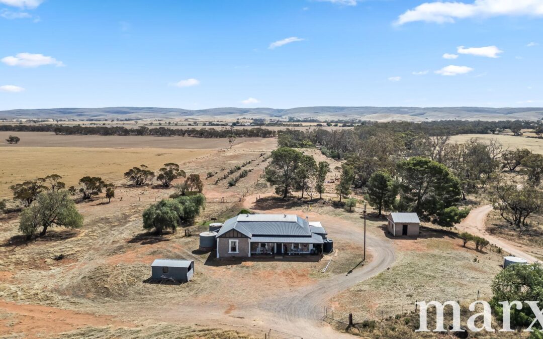 94 Robertson Road, TOWITTA, SA 5353 AUS